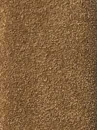 SUEDE BELT, Tan, highres