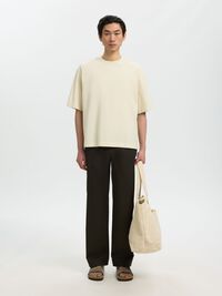 BOXY FIT BISIKLET YAKA TIŞÖRT KISA KOLLU TIŞÖRT, Silver Birch, highres