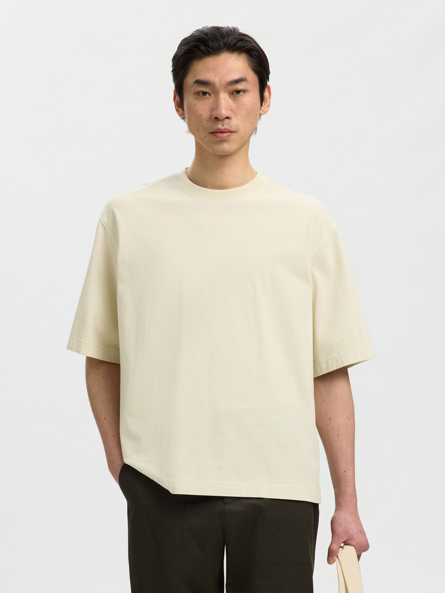 BOXY FIT BISIKLET YAKA TIŞÖRT KISA KOLLU TIŞÖRT, Silver Birch, highres